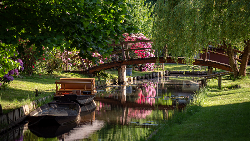 Utflykt till Spreewald (exkl.)